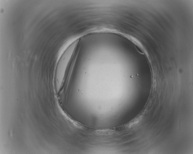 X0000053070863200508011938