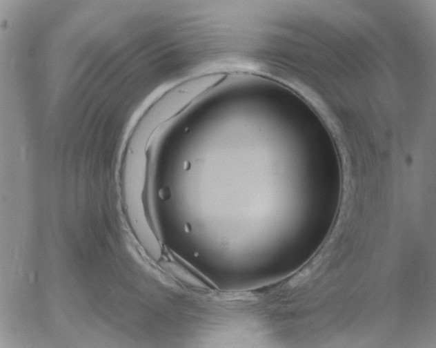 X0000053070864200508011938