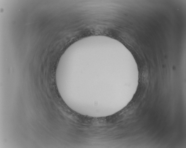 X0000053070865200508011937