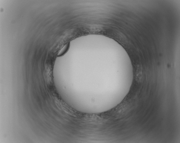 X0000053070866200508011937