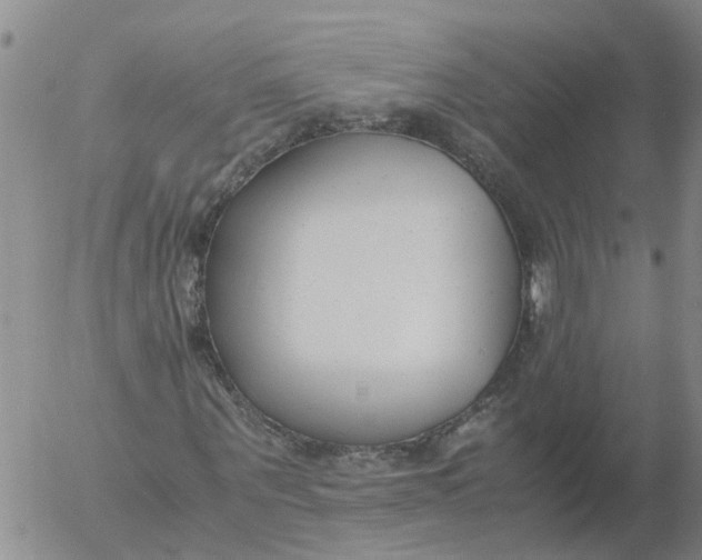 X0000053070867200508011937