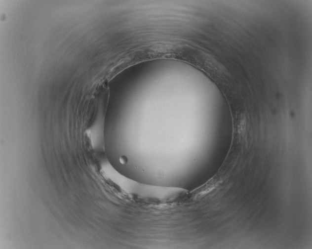 X0000053070868200508011937