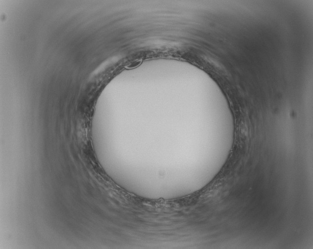 X0000053070869200508011937