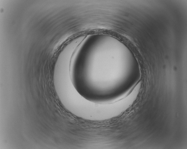 X0000053070871200508011937