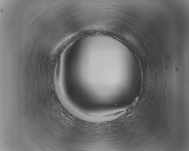 X0000053070872200508011937