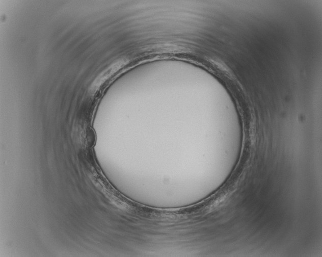 X0000053070873200508011937