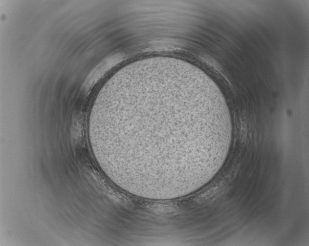 X0000053070874200508011937