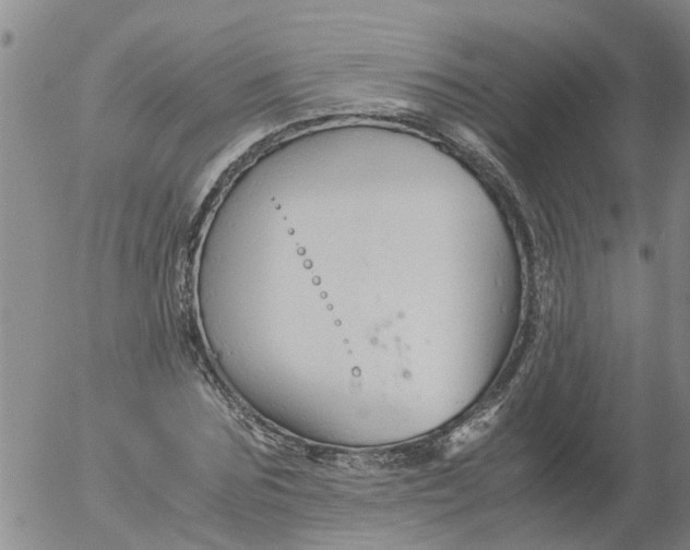 X0000053070875200508011937