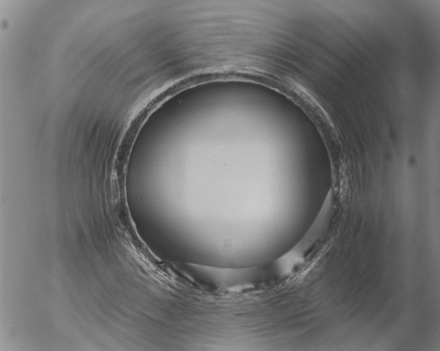 X0000053070876200508011937