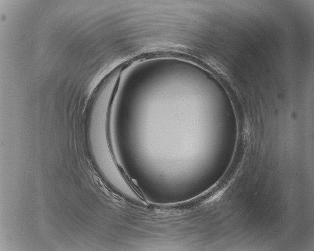 X0000053070877200508011937