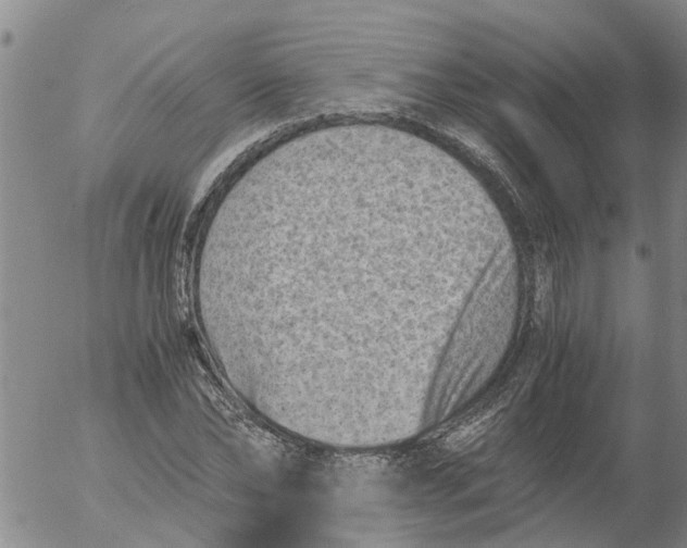 X0000053070878200508011937