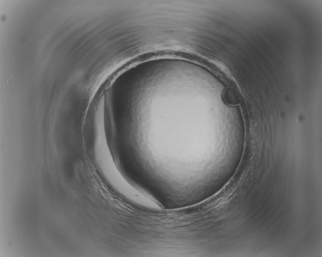 X0000053070879200508011937