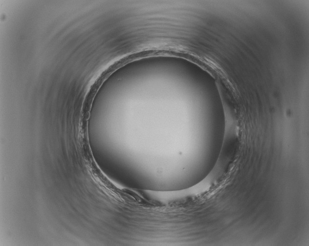 X0000053070880200508011937