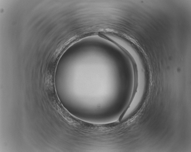 X0000053070881200508011937