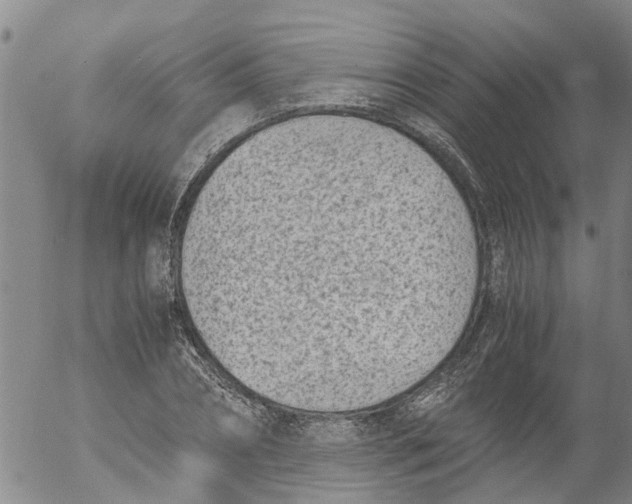 X0000053070882200508011937