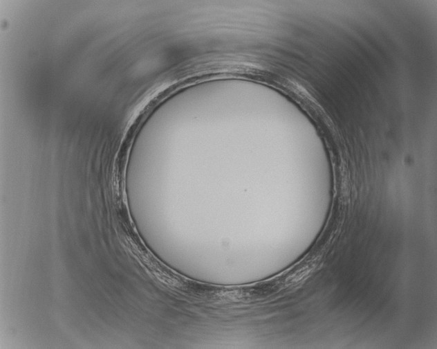 X0000053070883200508011937