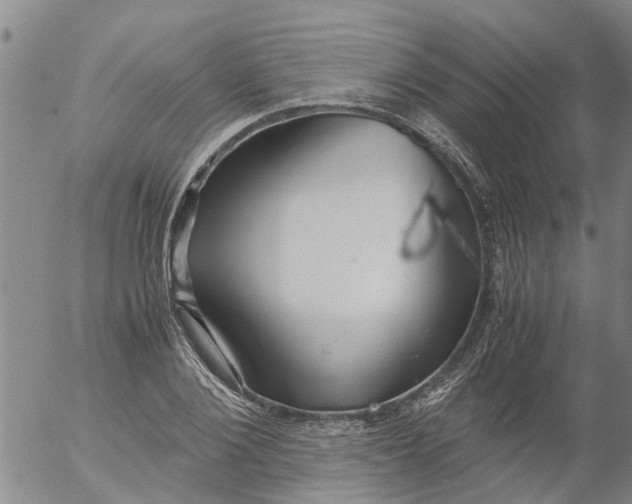 X0000053070884200508011937