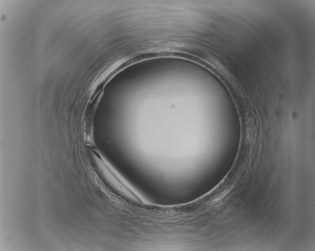 X0000053070885200508011937