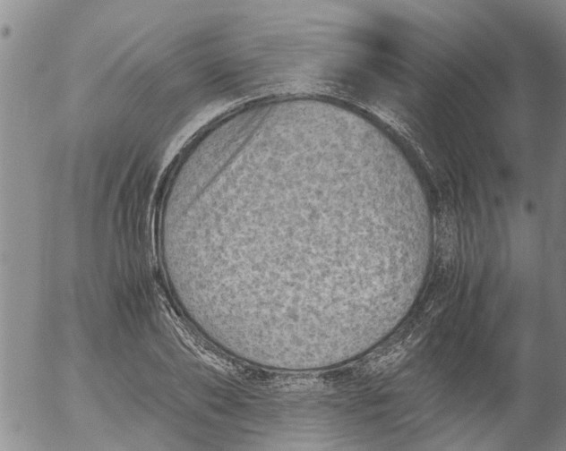 X0000053070886200508011937