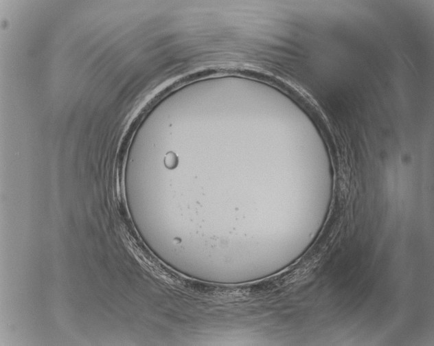 X0000053070887200508011937