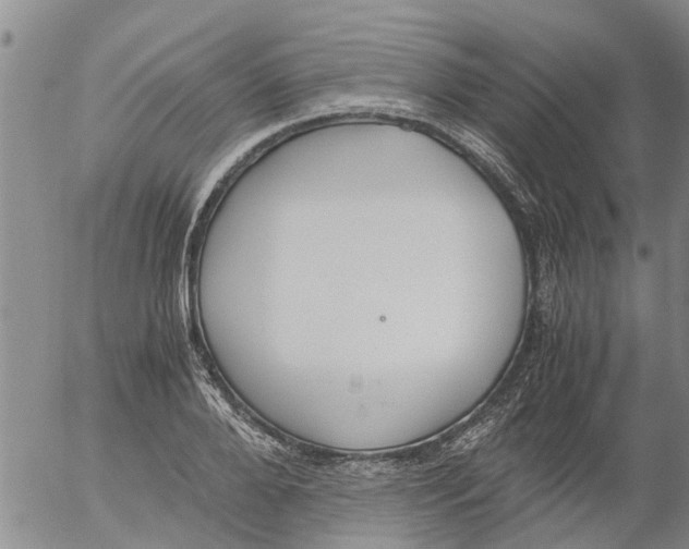 X0000053070888200508011937