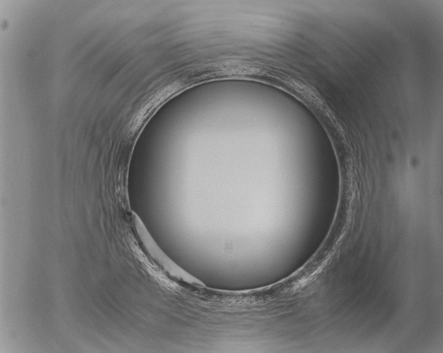 X0000053070889200508011937