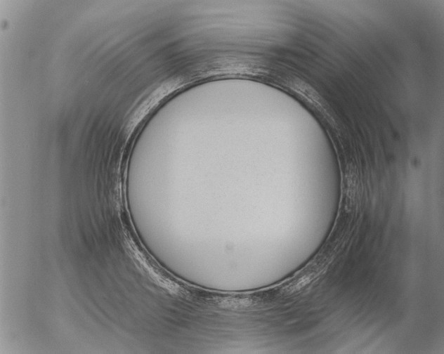 X0000053070890200508011937