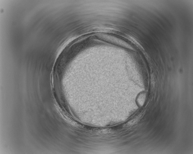 X0000053070891200508011937