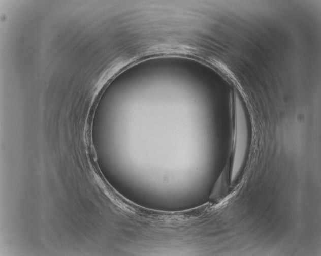 X0000053070893200508011937