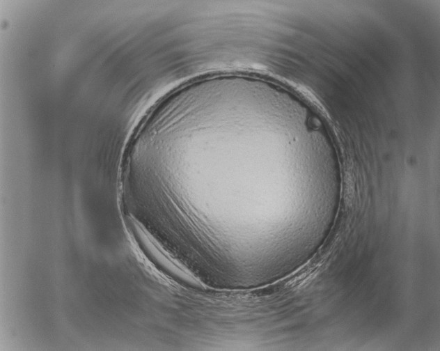 X0000053070895200508011937