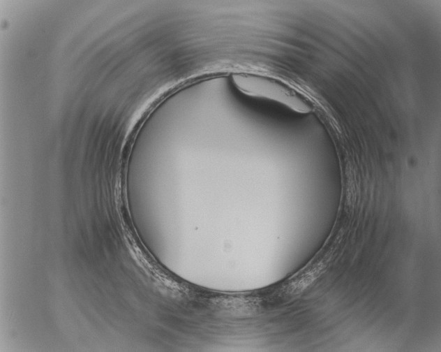 X0000053070896200508011937