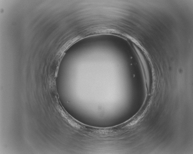 X0000053070897200508011937