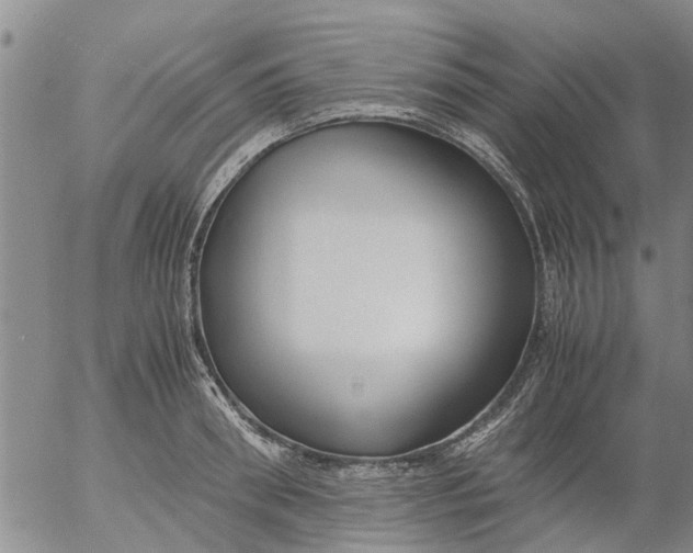 X0000053070898200508011937