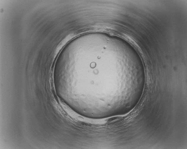 X0000053070899200508011937