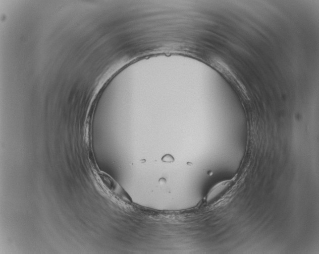 X0000053070900200508011937