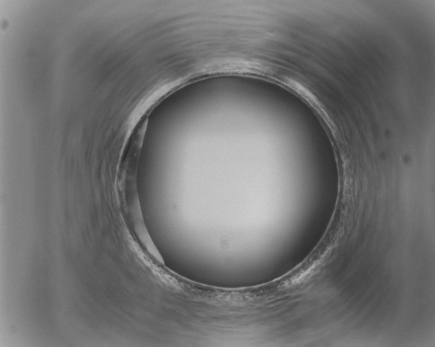 X0000053070901200508011937