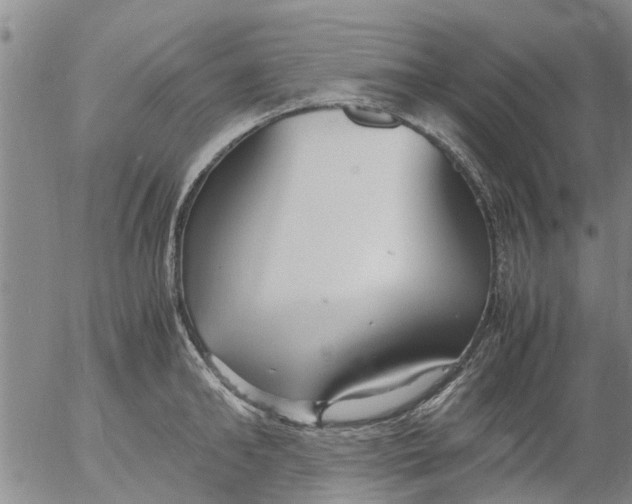 X0000053070902200508011937