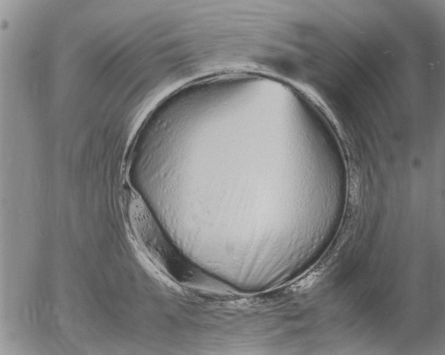 X0000053070903200508011937