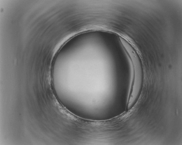 X0000053070904200508011937