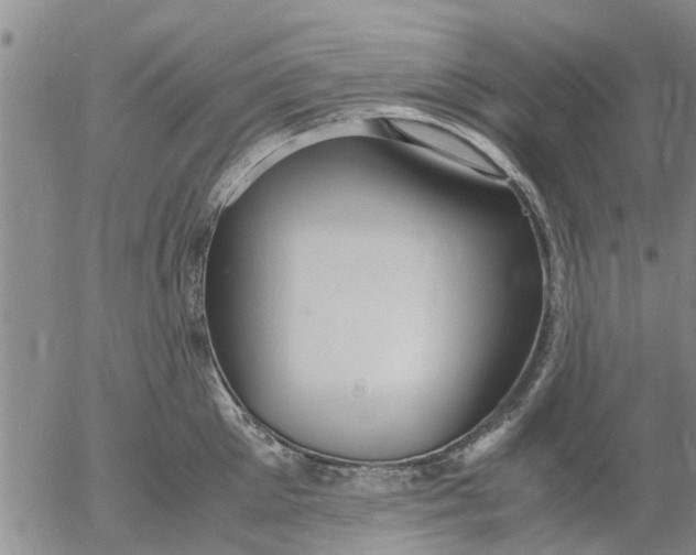 X0000053070905200508011937