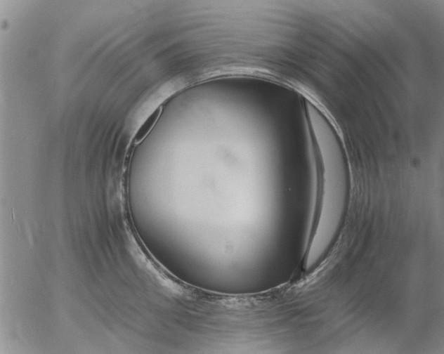 X0000053070906200508011937