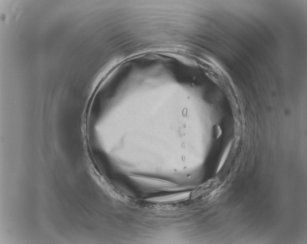 X0000053070907200508011937