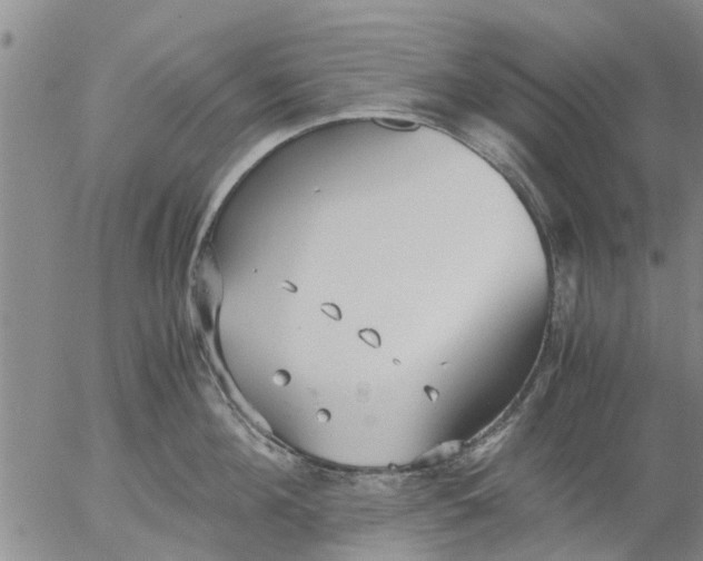 X0000053070908200508011937