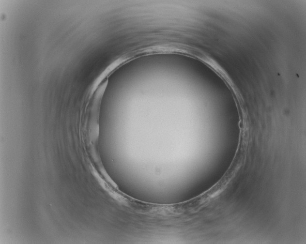 X0000053070909200508011937