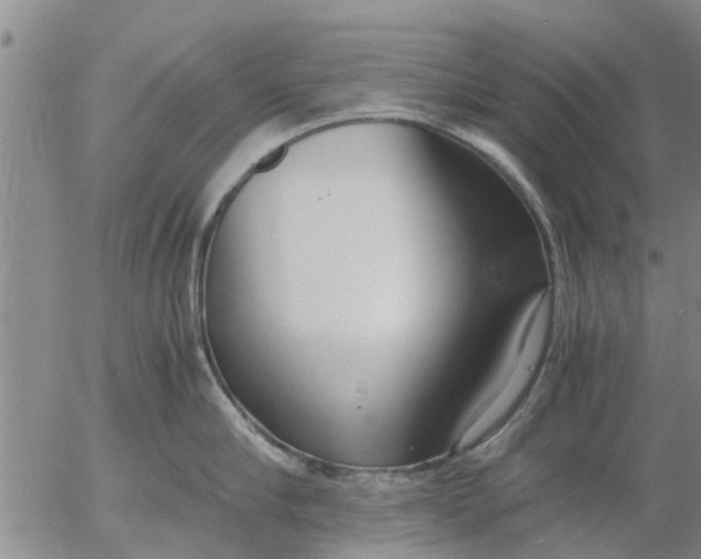 X0000053070910200508011937