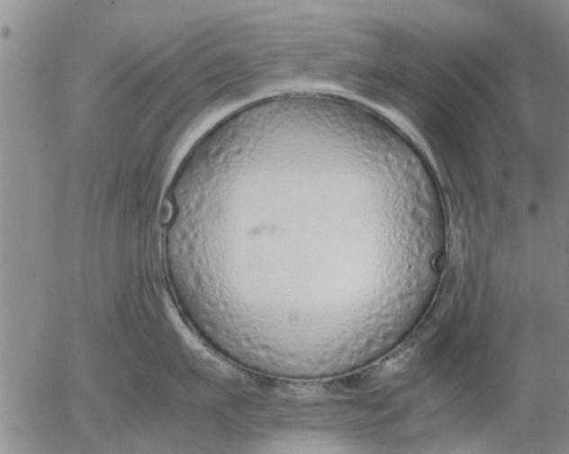 X0000053070911200508011937