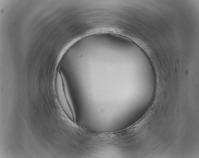 X0000053070912200508011937