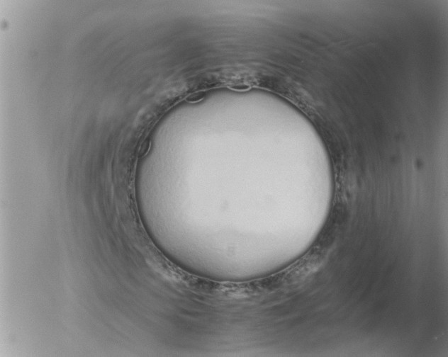 X0000053070913200508011936