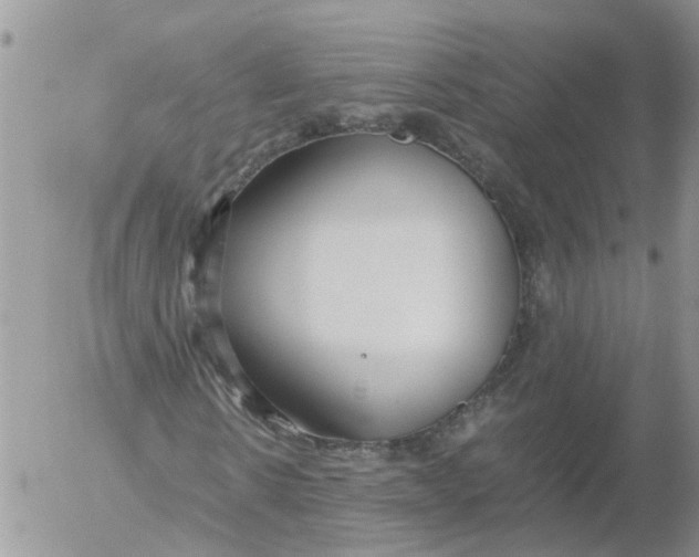 X0000053070914200508011936