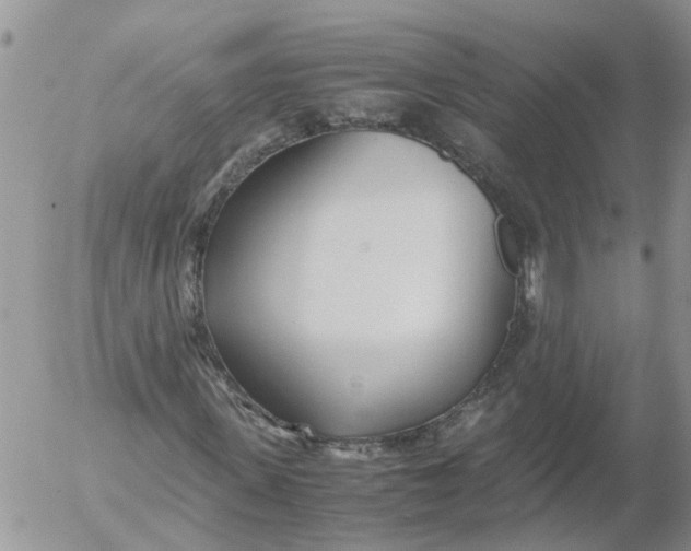 X0000053070915200508011936